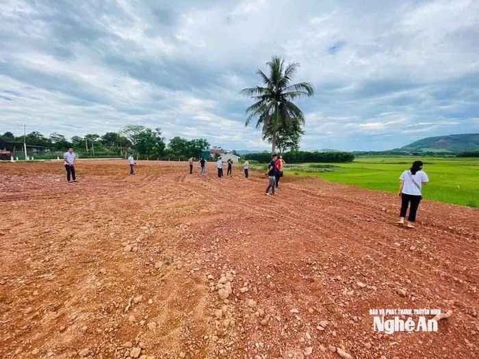 Một số số vùng đất ở Nghệ An đang được nhà đầu tư san lấp để tách thửa. Ảnh: P. V