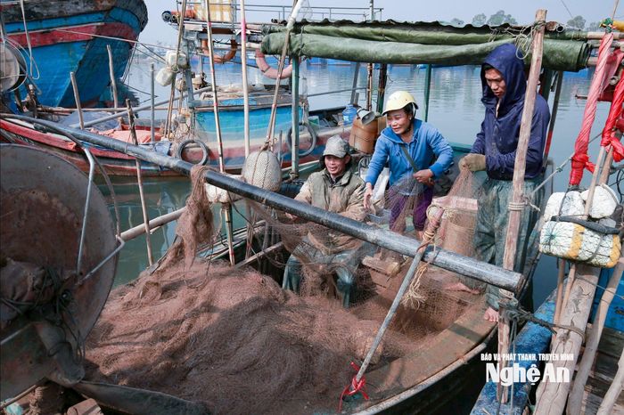 Vào vụ, ngư dân Nghệ An phấn khởi bám biển khai thác cá cháo. Ảnh: T.P