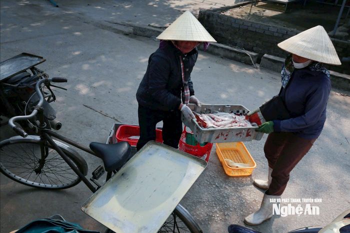 Cá cháo đánh bắt xong được thương lái thu gom ngay tại bến. Ảnh: T.P