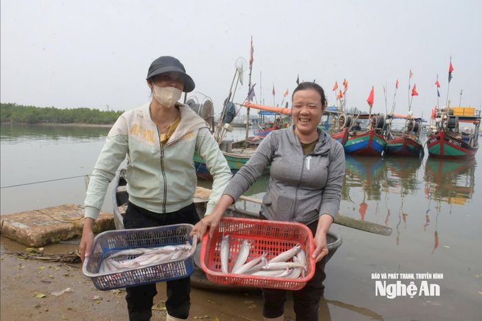 Hiện ngư dân Nghệ An đang vào mùa đánh bắt cá cháo. Ảnh: T.P