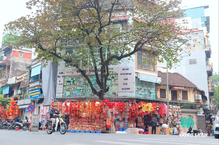 Giữa những ngày cuối năm bận rộn, sắc đỏ rực rỡ trên phố Hàng Mã như lời nhắc nhẹ nhàng rằng mùa đoàn viên đang đến gần. Tết Bính Ngọ 2026 đang chuẩn bị gõ cửa từng nhà, mang theo niềm hy vọng về một năm mới an khang, thịnh vượng.