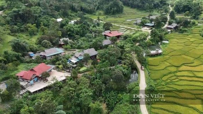 Nhiều hộ gia đình tại Vân Sơn đã cải tạo nhà sàn thành homestay khang trang nhưng vẫn giữ trọn vẹn hồn cốt truyền thống.