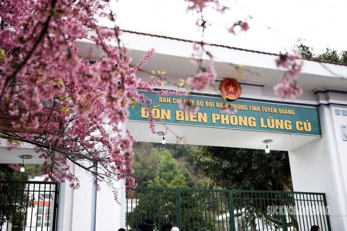 Biển tên Đồn Biên phòng Lũng Cú nổi bật bên sắc hoa rực rỡ.