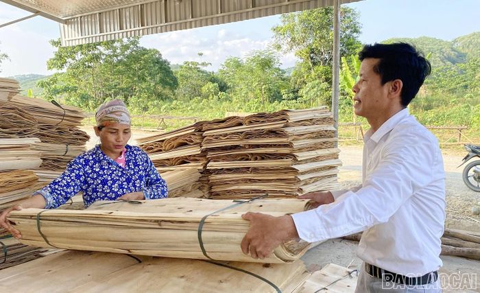 Nghề ván bóc ở Bảo Hà góp phần nâng cao thu nhập cho người dân.