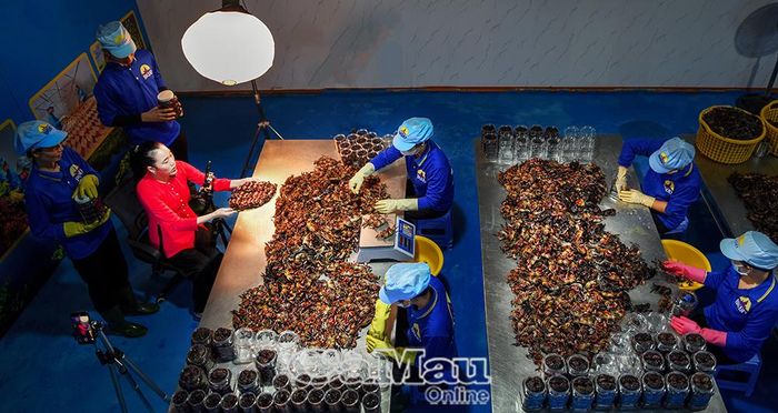 Nhiều nông dân, hợp tác xã tận dụng các nền tảng mạng xã hội, sàn thương mại điện tử để quảng bá, tiêu thụ nông sản,  không chỉ giúp mở rộng thị trường mà còn góp phần xây dựng thương hiệu cho sản phẩm địa phương.