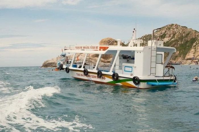 Du khách trải nghiệm ngắm san hô bằng tàu đáy kính tại vịnh Vĩnh Hy.