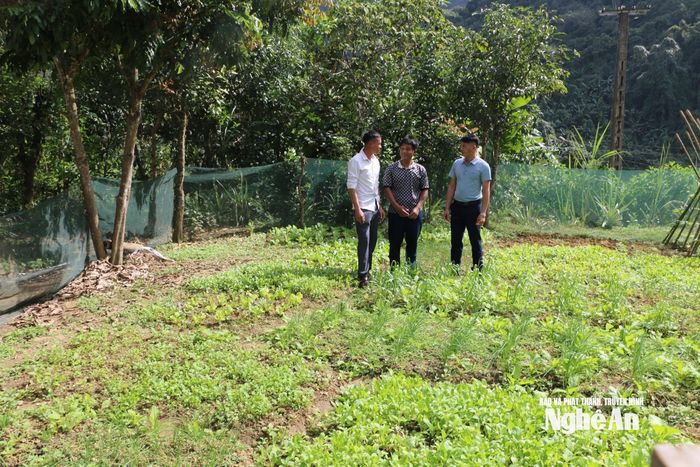 Bí thư Chi bộ và Trưởng bản Bá Hạ xã Mậu Thạch trò chuyện với đảng viên La Văn Bảy (đứng giữa). Ảnh: K.L