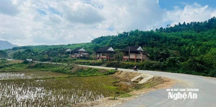 Đường vào khu tái định cư của đồng bào Đan Lai ở bản Bá Hạ, xã Mậu Thạch. Ảnh: K.L