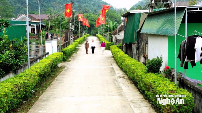 Đường viền cây xanh tạo không gian xanh - sạch - đẹp của xóm Tường Sơn 3, xã Vĩnh Tường. Ảnh: Xuân Hoàng