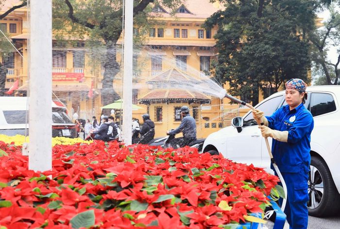 Công nhân đô thị tất bật chăm sóc các khóm hoa rực rỡ sắc màu trên đường Điện Biên Phủ (phường Ba Đình).