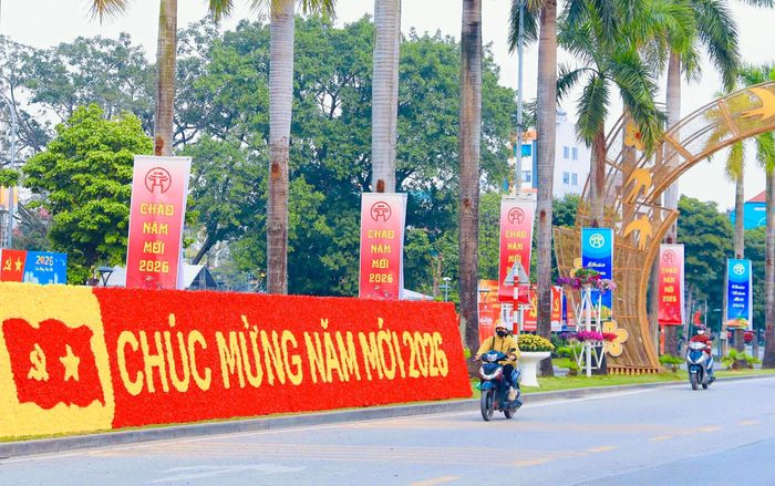 Dòng chữ “CHÚC MỪNG NĂM MỚI 2026” được kết bằng hoa tại xã Đông Anh.