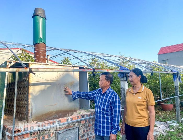 Ông Phạm Văn Việt (xã Chất Bình) thiết kế hệ thống lò sưởi bằng than để chăm sóc hoa mai.
