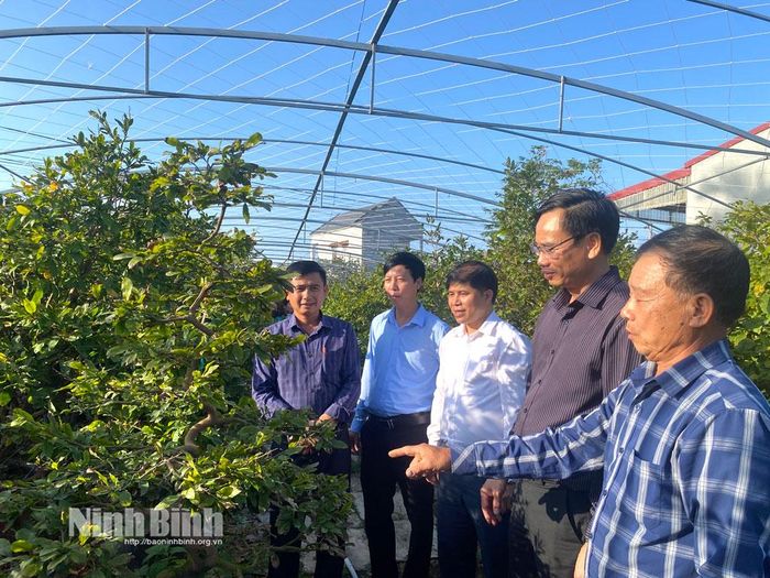 Chính quyền địa phương quan tâm, hỗ trợ người dân trong sản xuất.
