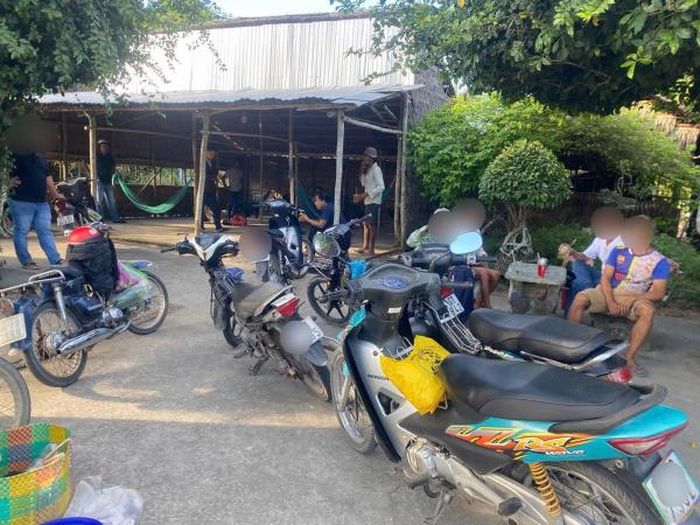 Để tránh bị phát hiện, những cuộc cá cược đá gà qua mạng thường diễn ra ở quán cà phê hoặc chòi rẫy.