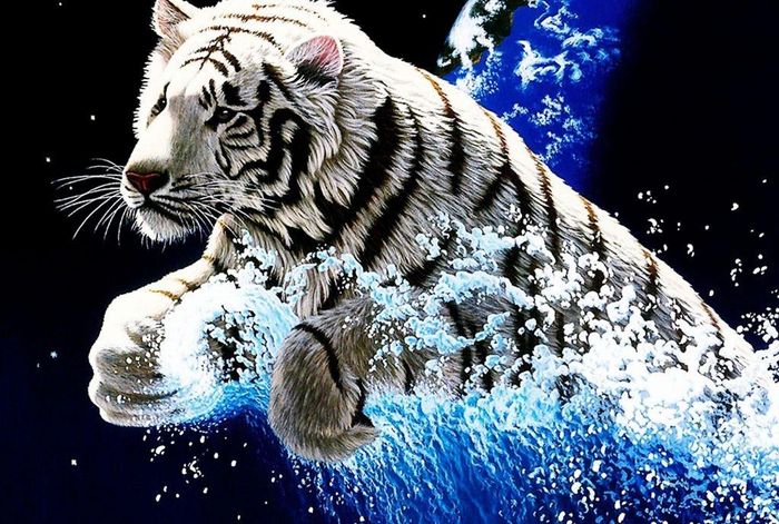 Khoảng thời gian này phù hợp để tuổi Dần hoàn thiện việc đang làm, củng cố nền tảng, chỉnh lại quy trình. Chậm một bước nhưng chắc chắn sẽ giúp tránh được sai lầm có thể kéo dài sang đầu năm sau.