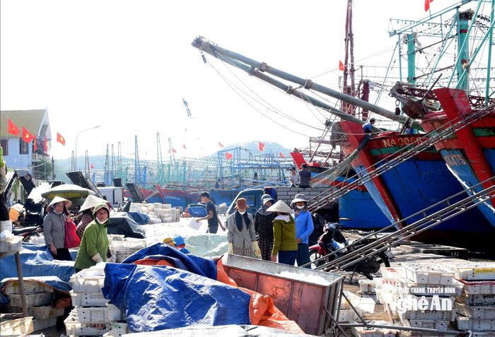 Nhộn nhịp cảng cá Lạch Quèn những ngày cuối năm. Ảnh: Xuân Hoàng