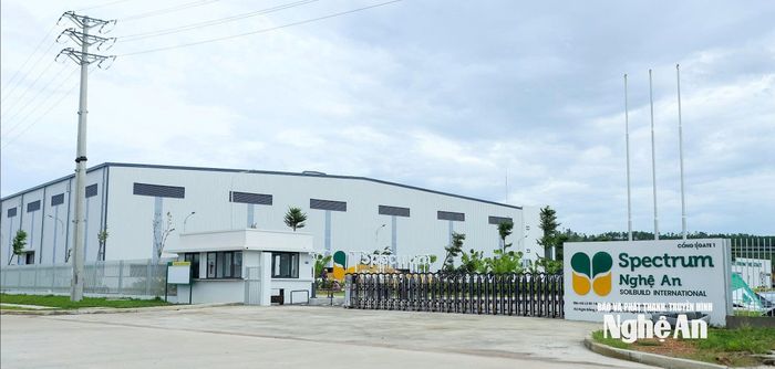 Nhà máy trong KCN WHA Industrial Zone Nghệ An. Ảnh: Thành Duy