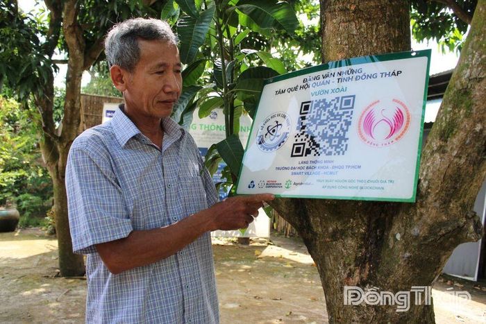 Nông dân Đặng Văn Những (phường Cao Lãnh) trồng xoài theo hướng hữu cơ có quét mã truy xuất nguồn gốc sản phẩm.