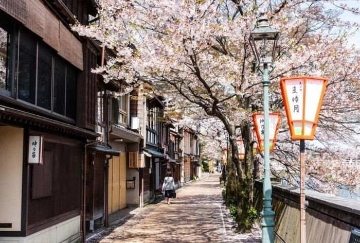 Vườn Kenrokuen là một trong những điểm tham quan hàng đầu tại Kanazawa. Ảnh: Alamy