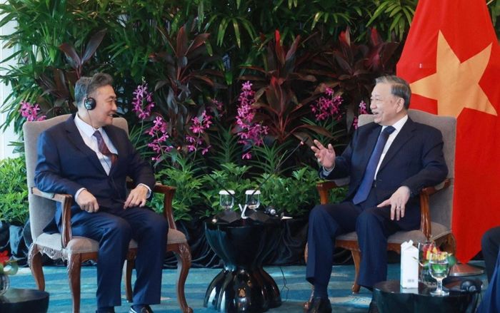 Tổng Bí thư Tô Lâm tiếp ông Tow Heng Tan - Chủ tịch Hội đồng quản trị Tập đoàn Sembcorp. Ảnh: K.T