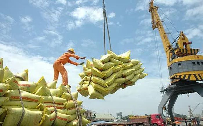 Sản lượng gạo xuất khẩu năm 2025 của Việt Nam ước đạt trên 8 triệu tấn, giữ vững vị trí quốc gia xuất khẩu gạo lớn thứ 2 thế giới. Ảnh minh họa