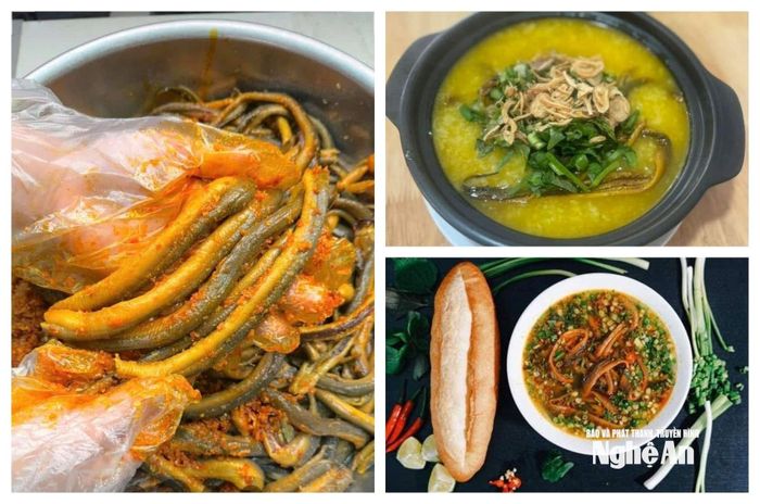 Đa dạng các món ăn được chế biến từ lươn đồng Nghệ An. Ảnh: T.P