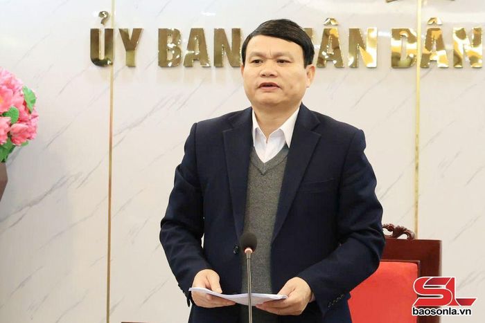 Đồng chí Phó Chủ tịch UBND tỉnh phát biểu tại cuộc họp.