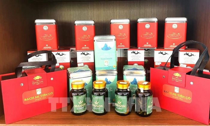 Các dòng sản phẩm trà Shan tuyết OCOP của Tuyên Quang được đầu tư mẫu mã, hướng tới phân khúc quà tặng. Ảnh: Minh Tâm-TTXVN