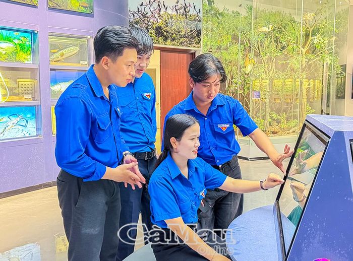 Các bạn đoàn viên, thanh niên truy cập thông tin ngay tại bảo tàng.