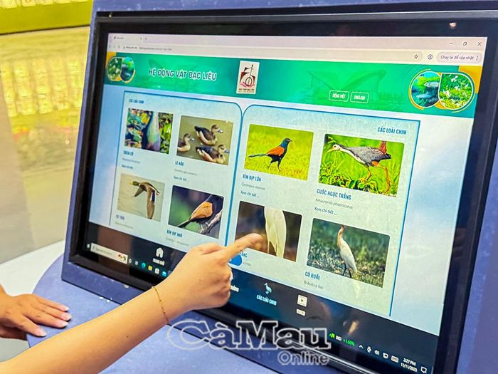 Màn hình điện tử tại bảo tàng giúp khách tham gia tra cứu thông tin, hình ảnh tích hợp tại đây nhanh chóng và sinh động.