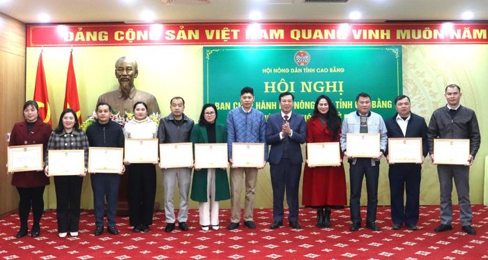 Chủ tịch Hội Nông dân tỉnh Nguyễn Phương Huy trao Bằng khen cho các tập thể.