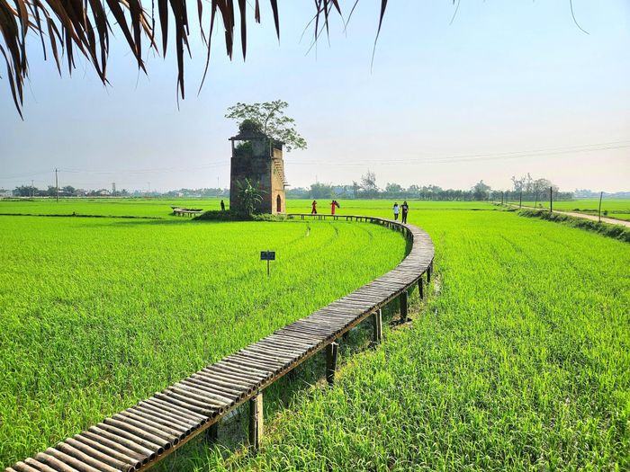 Điểm đến nông trại lò gạch cũ (xã Nam Phước) là điểm du lịch nông thôn hấp dẫn. Ảnh: QUỐC TUẤN