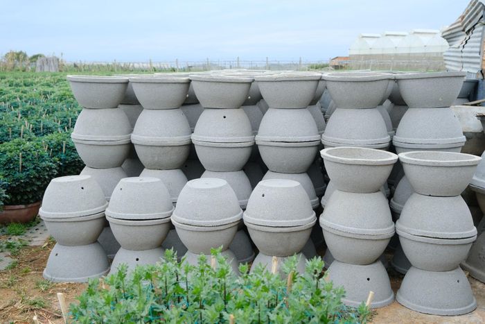 Chậu được đúc xong được người dân sắp xếp gọn gàng, sẵn sàng cho vụ mới