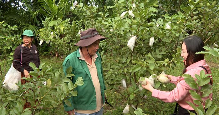 Vốn vay ưu đãi giúp người dân phát triển kinh tế nông thôn, thúc đẩy xây dựng nông thôn mới. Ảnh: QUANG VIỆT