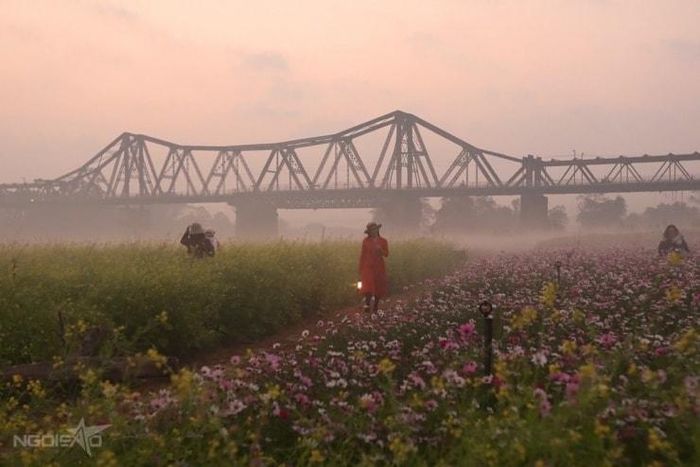 Nhiều bạn trẻ tranh thủ thời tiết lạnh để diện áo dài chụp bộ ảnh đón Tết sớm