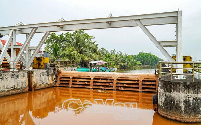 Cống T21 một trong số 89 cống, đập trong lâm phần đã được đóng để giữ nước phòng cháy chữa cháy cũng như ngăn mặn.