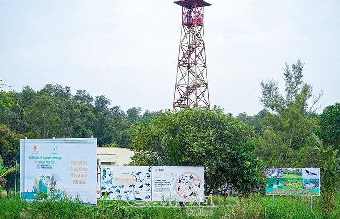 Trong lâm phần hiện có 65 chòi canh lửa đã được đầu tư kiên cố.