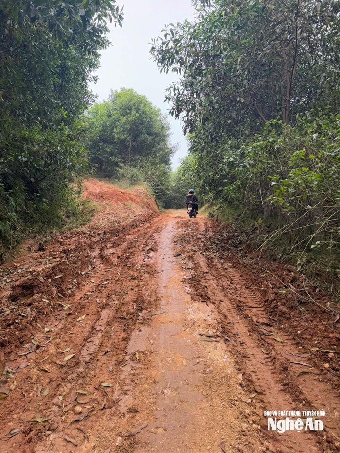 Dù khá vất vả khi nhà cách trang trại gần 15 km, trong đó có gần 3 km đường đồi, nhưng Huỳnh Tiến Phước vẫn vượt khó chăm sóc tốt cho đàn vật nuôi, phát triển quy mô trang trại ngày càng quy củ. Ảnh: Thanh Quỳnh
