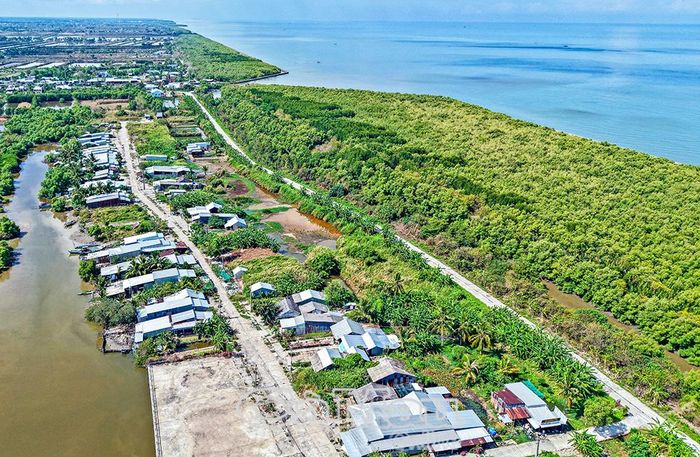 Sau khi hình thành hệ thống đê, kè, tại cửa biển Hương Mai (xã U Minh), đai rừng đã được phục hồi, phủ xanh, bảo vệ vững chắc và tạo nên sức sống mới phía trong đê.