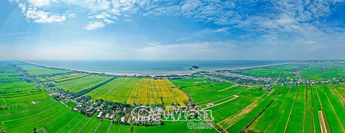 Hệ thống đê, kè được hình thành, tạo vành đai vững chắc bảo vệ đời sống và sản xuất nông nghiệp của người dân sinh sống bên trong, đặc biệt là góp phần cân bằng, giữ vững hệ sinh thái. (Trong ảnh: Cánh đồng lúa phát triển bên triền đê tại xã Ðá Bạc).