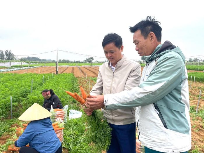 Gia đình ông Hồ Bá Sĩ (khối Bình Minh) phấn khởi vì cà rốt được mùa, được giá. Ảnh: Ngọc Anh
