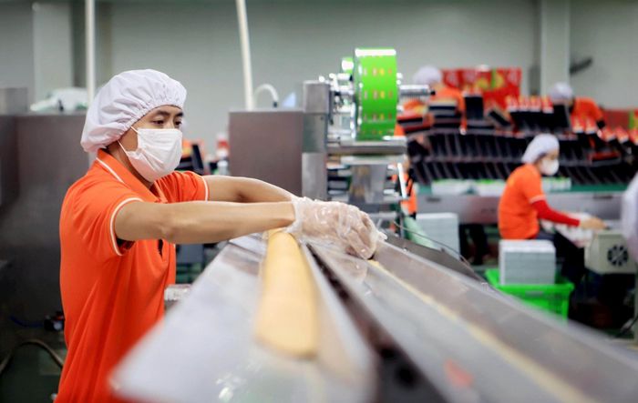 Sản xuất các mặt hàng xuất khẩu tại Công ty Cổ phần Quốc tế Bảo Hưng (Cụm công nghiệp Tân Minh, Hưng Yên). (Ảnh: Thế Duyệt/TTXVN)
