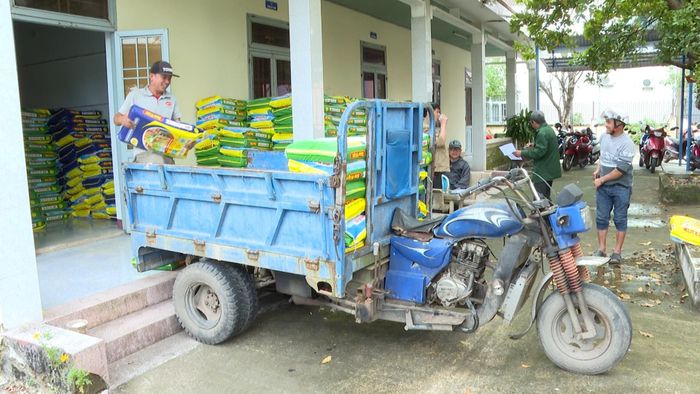 Nông dân xã Thăng Bình được tiếp cận chương trình mua phân bón trả chậm. Ảnh: HỒ QUÂN