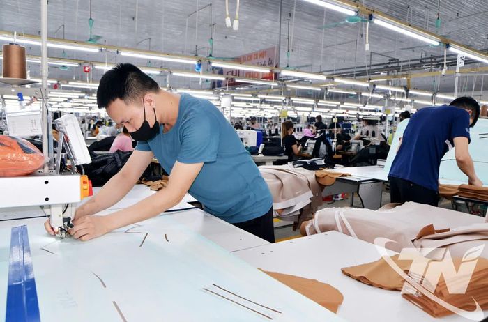 Công ty CP Đầu tư và Phát triển TDT lựa chọn chiến lược linh hoạt về thị trường tiêu thụ, đồng thời đẩy mạnh đổi mới công nghệ để nâng cao năng suất, chất lượng sản phẩm. Ảnh: T.L