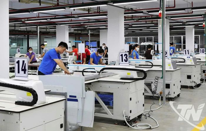 Công ty CP Đầu tư và Thương mại TNG chú trọng đẩy mạnh tự động hóa, xanh hóa và chuyển đổi số trong sản xuất để nâng cao năng suất, chất lượng sản phẩm, đáp ứng các tiêu chuẩn của thị trường quốc tế. Ảnh: T.L