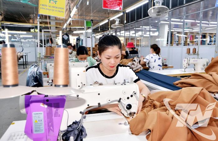 Năm 2025, dệt may Thái Nguyên tiếp tục giữ vai trò là một trong những trụ cột xuất khẩu quan trọng của địa phương.
