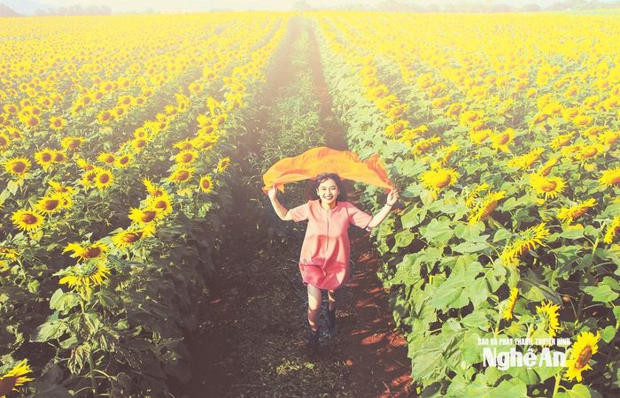 Đi về phía mặt trời. Ảnh: Công Sáng