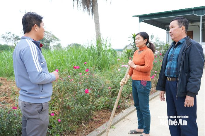 Phong trào xây dựng quê hương mới đã được người dân Tân Cát hưởng ứng mạnh mẽ. Ảnh: Tiến Đông