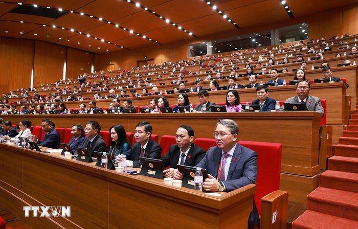  Đoàn đại biểu Đảng bộ tỉnh Đắk Lắk dự phiên thảo luận tại hội trường về các văn kiện Đại hội, sáng 21/1. (Ảnh: TTXVN) 