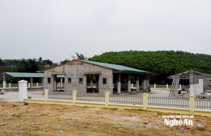 Chợ Sơn Lâm đang được xây dựng kịp khánh thành vào dịp đón Tết Bính Ngọ. Ảnh: Công Kiên